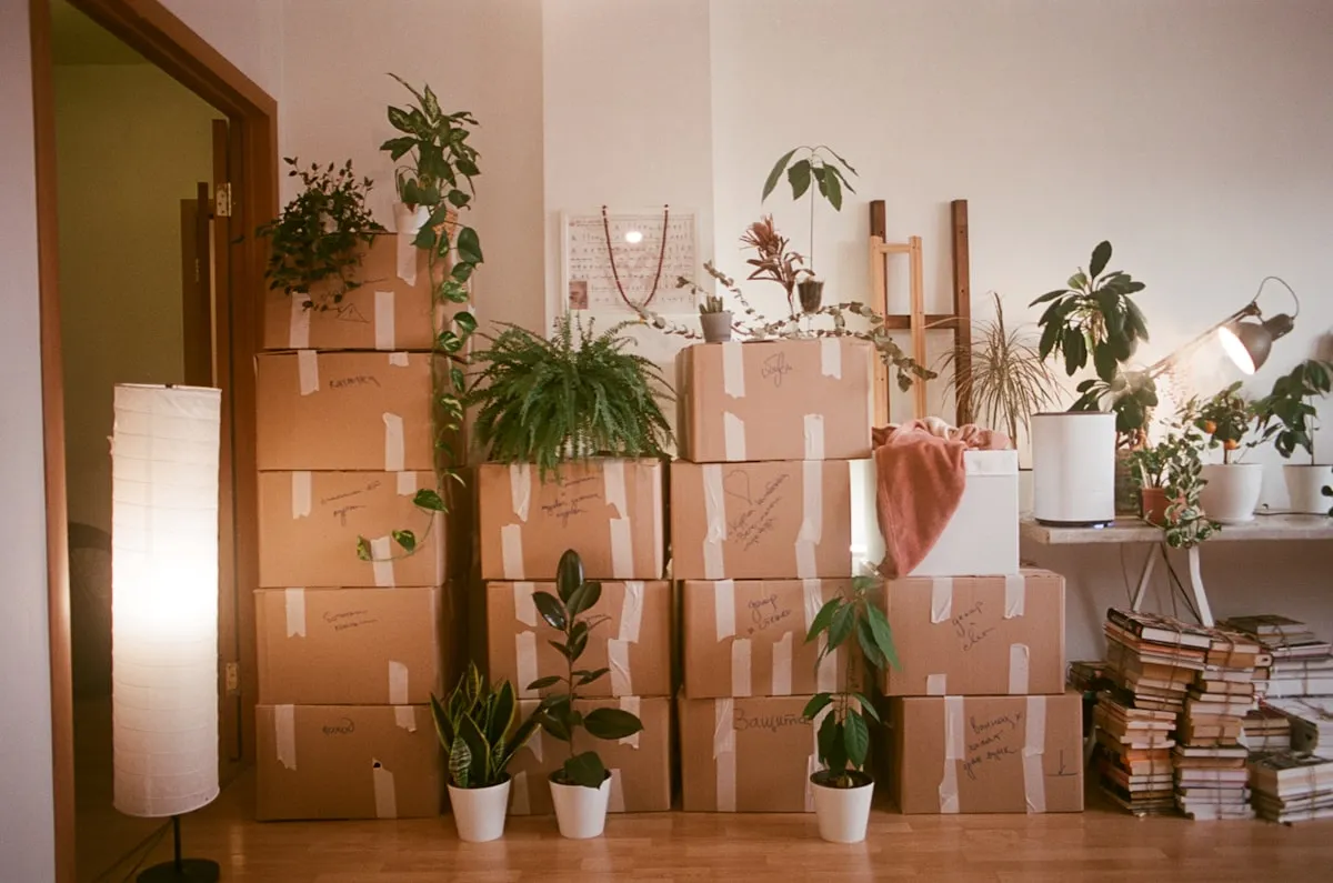 Stacked archive boxes and plants in an office storage room