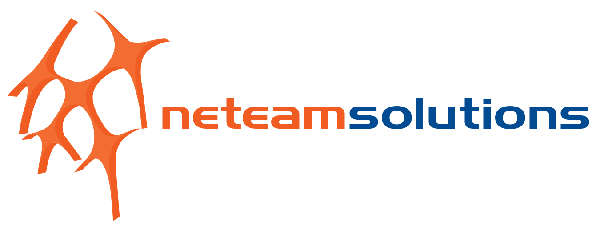 Neteam Solutions