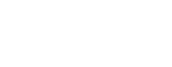 Neteam Solutions