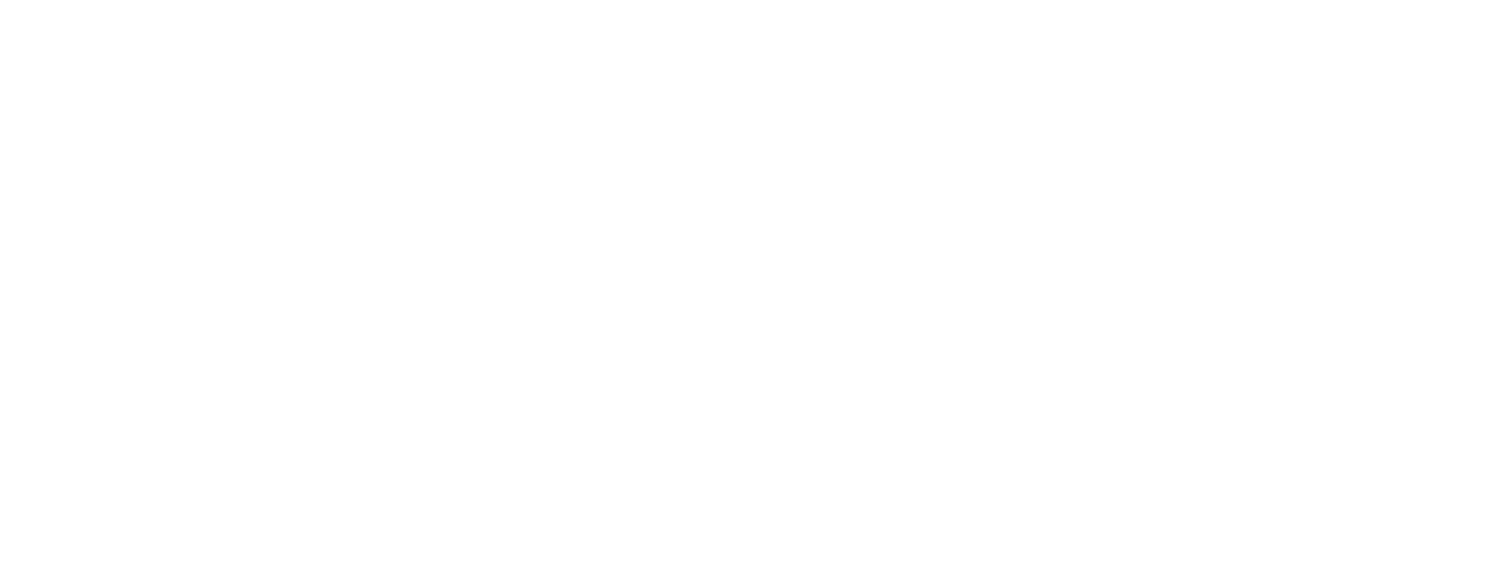 Neteam Solutions