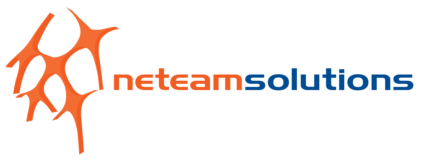 Neteam Solutions Logo